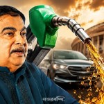 ককরোচের পর এবার ই-২০ জনতা পার্টি, গড়কড়ির বিরুদ্ধে আন্দোলনের ডাক